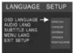 LANGUAGE SETUP OSD LANGUAGE → AUDIO LANG SUBTITLE LANG MENU LANG EXIT SETUP METHNIC OFFICE GOVERN SPANNA POSTGUCOME
