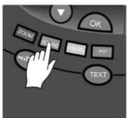OK ZOOM BYD BUN PID NET TEXT