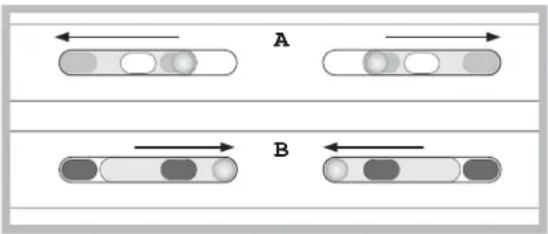 A B