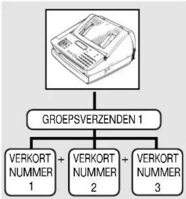 TOSHIBA TF601 - Groepsverzenden - 1