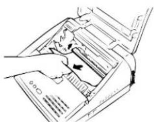 TOSHIBA TF601 - Hoe vastgelopen papier verwijderen - 1