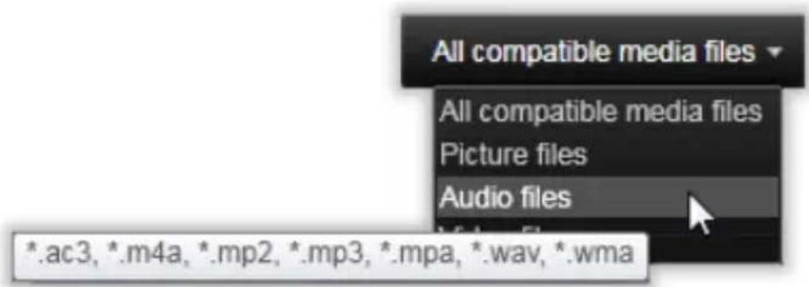 All compatible media files All compatible media files Picture files Audio files *.ac3, *.m4a, *.mp2, *.mp3, *.mpa, *.wav, *.wma