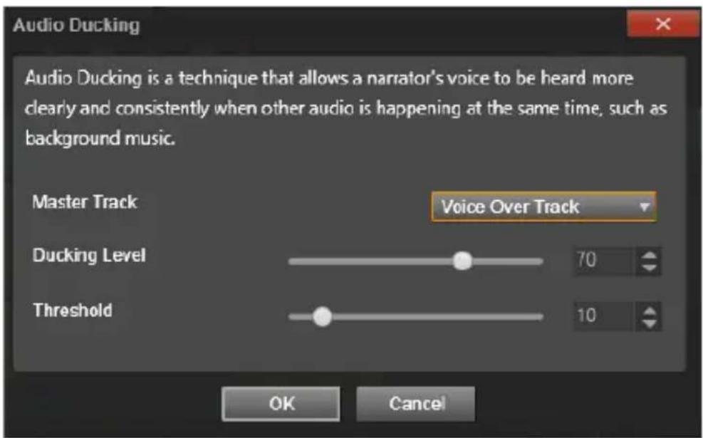 PINNACLE Studio 20 - Audio ducking gebruiken om het volume automatisch aan te passen - 1