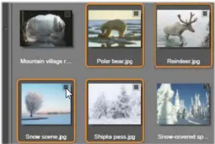 Mountain village r... Polar bear.jpg Reindeer.jpg Snow scene.jpg Shipka pass.jpg Snow-covered sp...