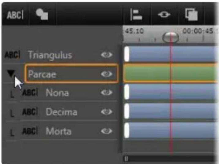 PINNACLE Studio 20 - Werken met laaggroepen - 1