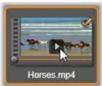 Horses.mp4