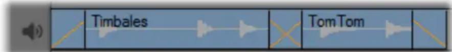 Timbales Tom Tom