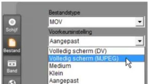 Bestandstype MOV Voorkeursinstelling Aangepast Volledig scherm (DV) Volledig scherm (MJPEG) Medium Klein Aangepast
