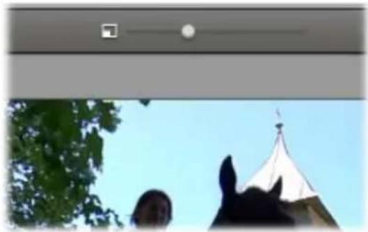 PINNACLE Studio HD Ultimate 14 - De grootte van het videovoorbeeld aanpassen - 1