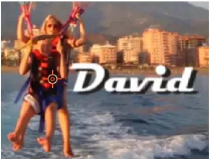 David