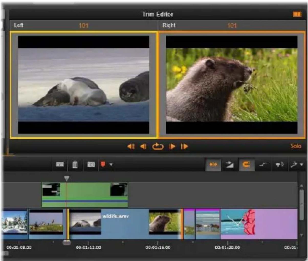 Trim Editor Left 101 Right 101 Solo wildlife.wmy 00:01:08.00 00:01:12.00 00:01:15.00 00:01:20.00 00:01:
