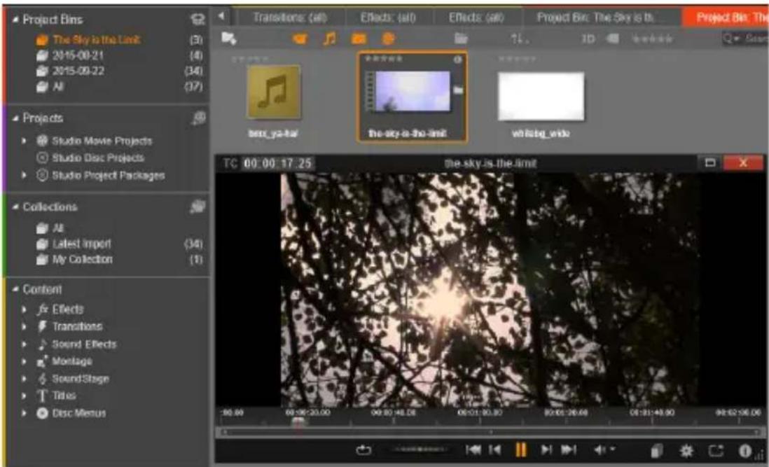 PINNACLE Studio 20 Plus - Speler - 1