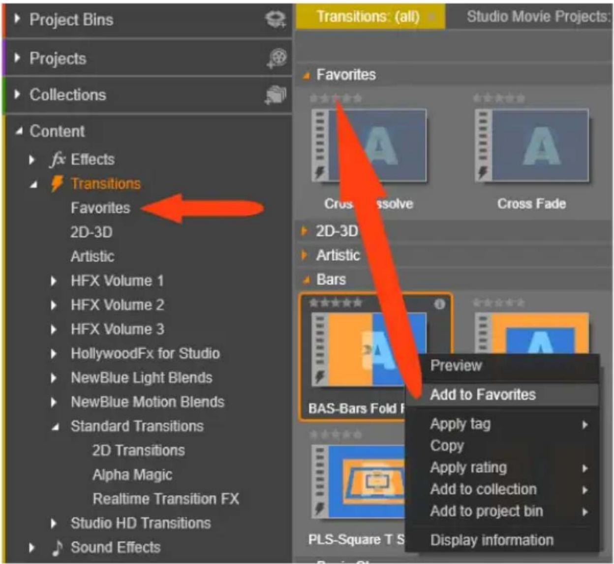 PINNACLE Studio 20 Plus - Inhoud als Favoriet markeren - 1
