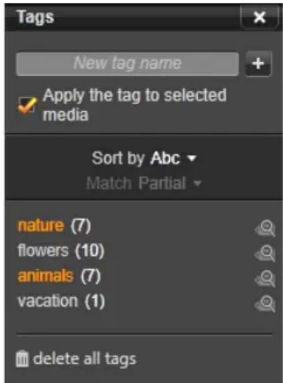 PINNACLE Studio 20 Plus - Beheer en filtering van tags - 1