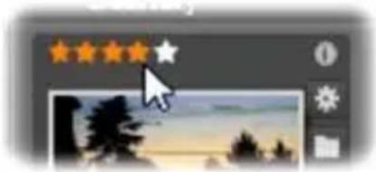 PINNACLE Studio 20 Plus - Thumbnails - 9