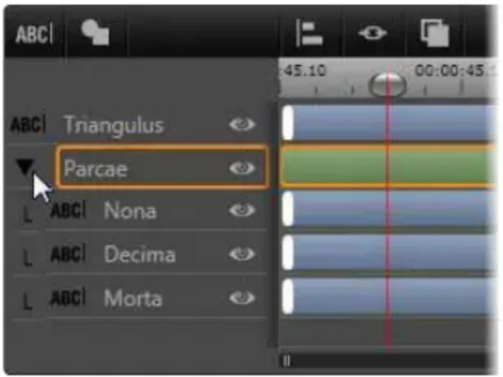 PINNACLE Studio 20 Plus - Werken met laaggroepen - 1