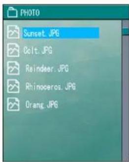 PHOTO Sunset.JPG Colt.JPG Reindeer.JPG Rhinoceros.JPG Orang.JPG