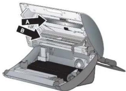 A B