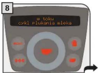 8 w toku cykl piukania aleka