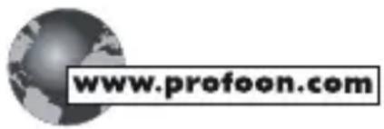 www.profoon.com