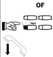 OF MSG