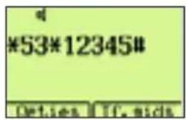 *53*12345# Options If, mids