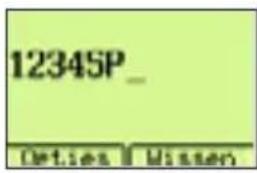 12345P_