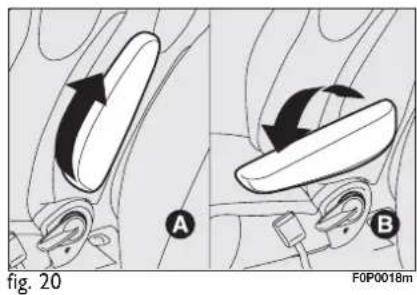 Fig. 20 A B F0P0018m