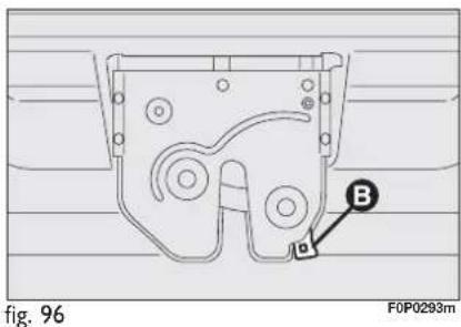 Fig. 96 F0P0293m