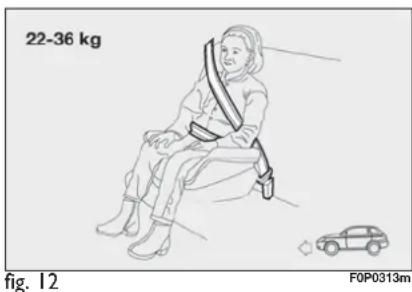 22-36 kg fig. 12 F0P0313m