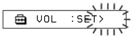 VOL : SET>