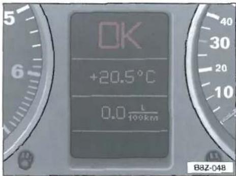 OK +20.5°C 0.0 L 100km B8Z-048