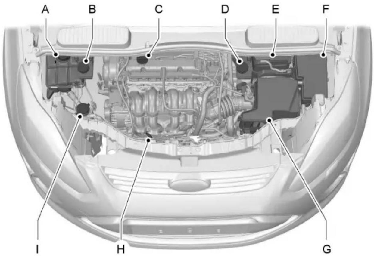 FORD Focus - B8 (2012) - WAARSCHUWING - 3