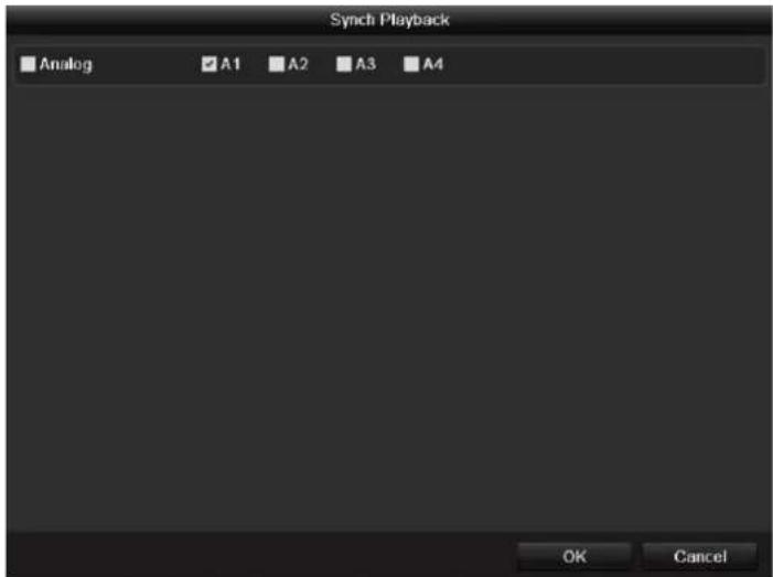 Synch Playback Analog A1 A2 A3 A4 OK Cancel