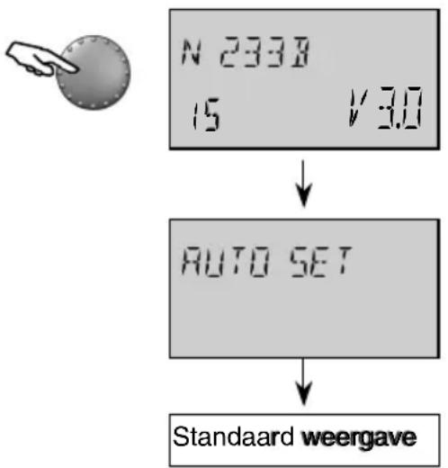 graph TD A["N 2338\n15 V=3.0"] --> B["AUTO SET"] B --> C["Standaard weergave"]