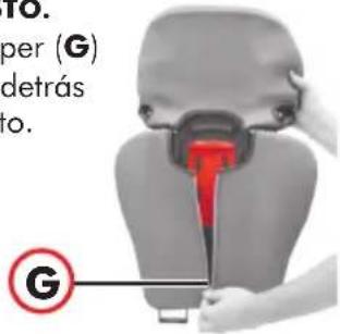 18. per (G) detrás ro. G