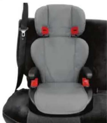 Burigotto Passeio - GRUPOS II e III (Para crianças de 15 a 36kg) - 1
