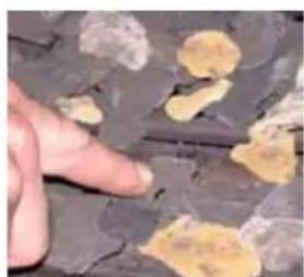 Element4 Vesuvius 140 - Inrichting van het keramische vuurbed E4-5 Bidore en Trisore - 2