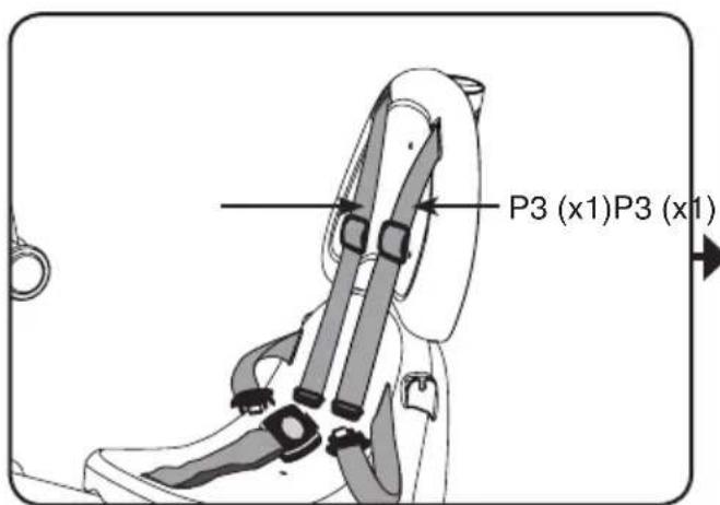 P3 (x1)P3 (x1)