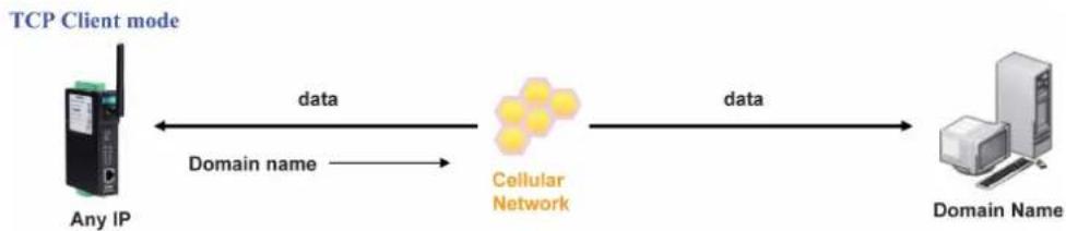 Moxa OnCell G3150-T - TCP Client to PC's domain name - 1