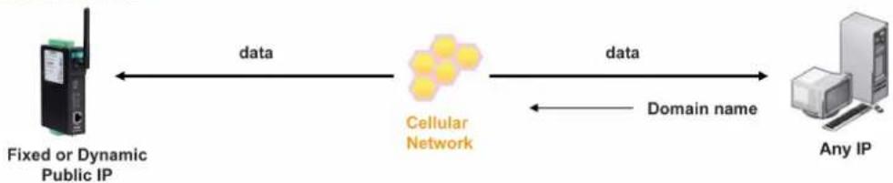 Moxa OnCell G3150-T - Domain name with DDNS - 1