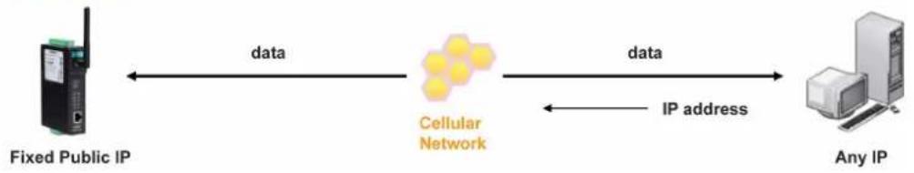 Moxa OnCell G3150-T - Fixed Public IP for the OnCell - 1