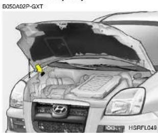 HYUNDAI H-1 Grand Starex (2006) - ACCESSOIRES - 1