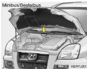 Minibus/Bestelbus HSRFL051