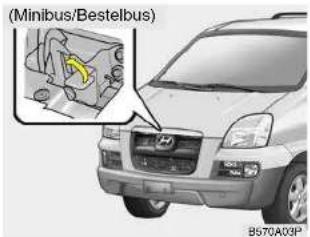 Bedrijfswagen B570B03P