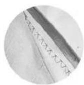 LEWENSTEIN 902 Automatic - STRETCHSTEEK MODEL 904 - 4