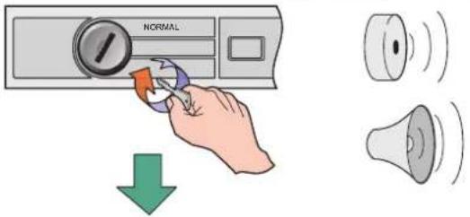 NORMAL ↓