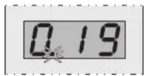 0.19