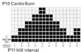 TUNTURI Classic Run 3.0 - P6 - P9 SPEED PROGRAMS : - 4
