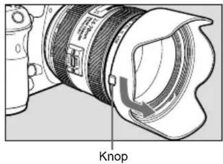 Knop